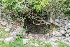 
Ram Grove limekiln, Pitton, June 2015