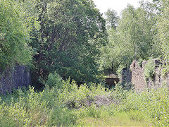 
Smiths Canal at White Rock Copperworks, Swansea, June 2023