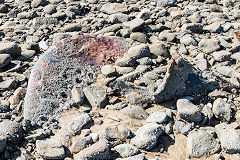 
Whiteford Sands, September 2015