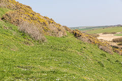 
Tramway to Porthgain, St Brides slate quarry, Abereiddy Quarry, April 2015