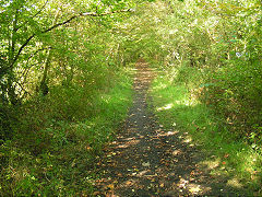 Begelly to Broom trackbed, Saundersfoot, September 2008