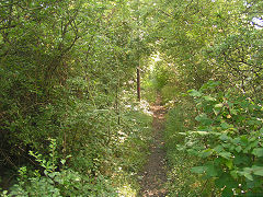 Begelly trackbed, Saundersfoot, September 2008