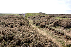 
Tramway between Western and Middle bunkers, Castlemartin Ranges, May 2014
