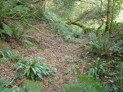 
Grove Colliery tramroad, Saundersfoot, September 2008