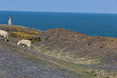 Quarry waste tips, Pen Clegyr Quarry, Porthgain, April 2015