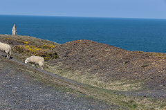 
Quarry waste tips, Pen Clegyr Quarry, Porthgain, April 2015