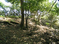 Reynalton, The end of the railway embankment, Saundersfoot, September 2008