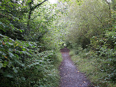 Begelly to Broom trackbed, Saundersfoot, September 2021