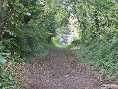 On the way up the incline, September 2021