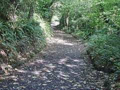 
Grove Colliery tramroad, Saundersfoot, September 2021