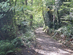 
Grove Colliery tramroad, Saundersfoot, September 2021