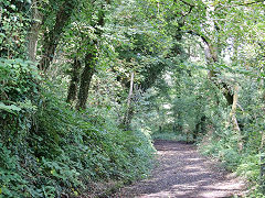 
Grove Colliery tramroad, Saundersfoot, September 2021