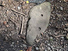 
Grove Colliery tramroad sleepers, Saundersfoot, September 2021