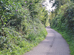 
The railway between Stepaside and Wiseman's Bridge, Saundersfoot, September 2021