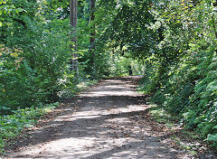 The railway between Stepaside and Wiseman's Bridge, Saundersfoot, September 2021