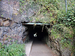 
First tunnel from Railway Street, Saundersfoot, September 2021