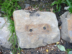 
Saundersfoot Railway sleeper near Begelly,  © Photo courtesy of Stewart Liles