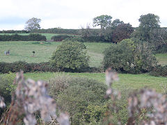 The Reynalton branch leaves the Thomas Chapel line, Saundersfoot, September 2021