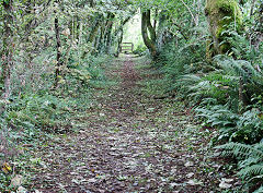 
Thomas Chapel approach, Saundersfoot, September 2021