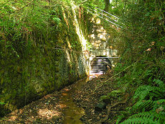 
Tunnel under Saundersfoot station, September 2008