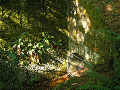 
Tunnel under Saundersfoot station, September 2008