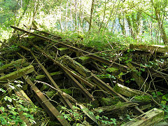 
Stepaside, track for abortive railway re-building, Saundersfoot, September 2008