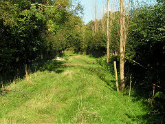 Thomas Chapel approach, Saundersfoot, September 2008