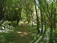 Thomas Chapel trackbed, Saundersfoot, September 2008