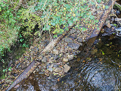 
Glynneath Gunpowder Factory, Tramway bridge girders #34, October 2014