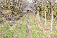 
Incline A3, Dinorwic Quarry, Llanberis, April 2014