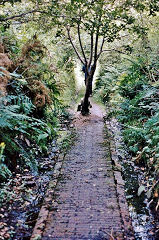 
Small cutting approaching the NG tunnel portal from the Buckley Town station., © Photo courtesy of Phil Pritchard