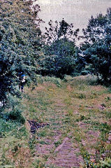 
Trackwork down from the tunnel, Hancocks Wharf, © Photo courtesy of Phil Pritchard