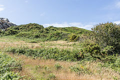 
Incline from quarries,Porth Wen brickworks, Anglesey, July 2015