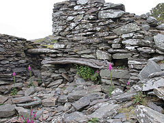 
The abandoned Gellfechan farmstead, June 2021