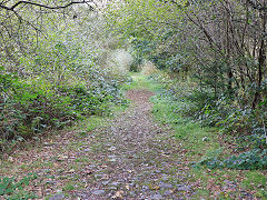 
Bryn Eglwys, the 'New Mill' tramway to the deep quarry, October 2024