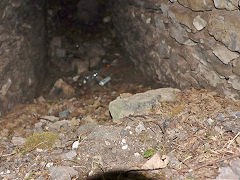 Flue to the right of the footpath, St Cuthberts, August 2024