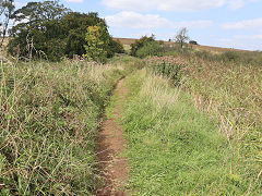The tramway to Chewton from St Cuthberts, August 2024