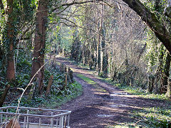 Contractors railway from the Camerton branch to lock 15 at the foot of Combe Hay locks, March 2022