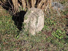 Combe Hay lock 13 boundary stone or bollard, March 2022