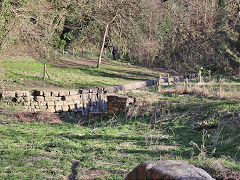 Combe Hay lock 15, March 2022