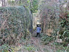 
Combe Hay lock 8, March 2022