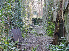 Combe Hay lock 8, March 2022