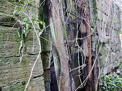 Combe Hay lock 8, March 2022