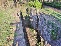 Combe Hay lock 8, March 2022