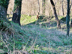 
Combe Hay looking from lock 8 to lock 9, March 2022