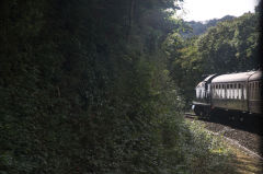 
GWR '4577' at Churston, Devon, October 2013