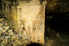 
Kingsdown Quarry tree roots from the surface, August 2020'