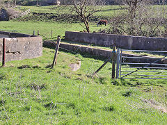 
SCC aqueduct at Midford, March 2022