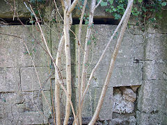 SCC lock 21 near Midford, March 2022