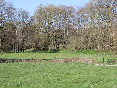 The Camerton branch at Paulton basin, March 2022